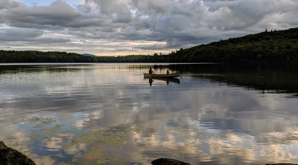 Spoonwood Pond in the SuperSanctuary by Jill Griffiths